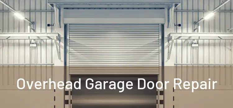  Overhead Garage Door Repair 
